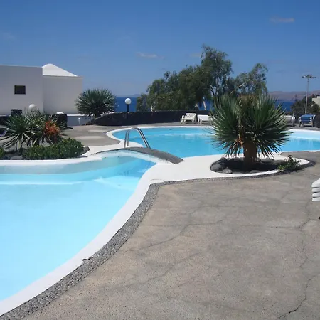 Tabaibas Puerto del Carmen (Lanzarote)